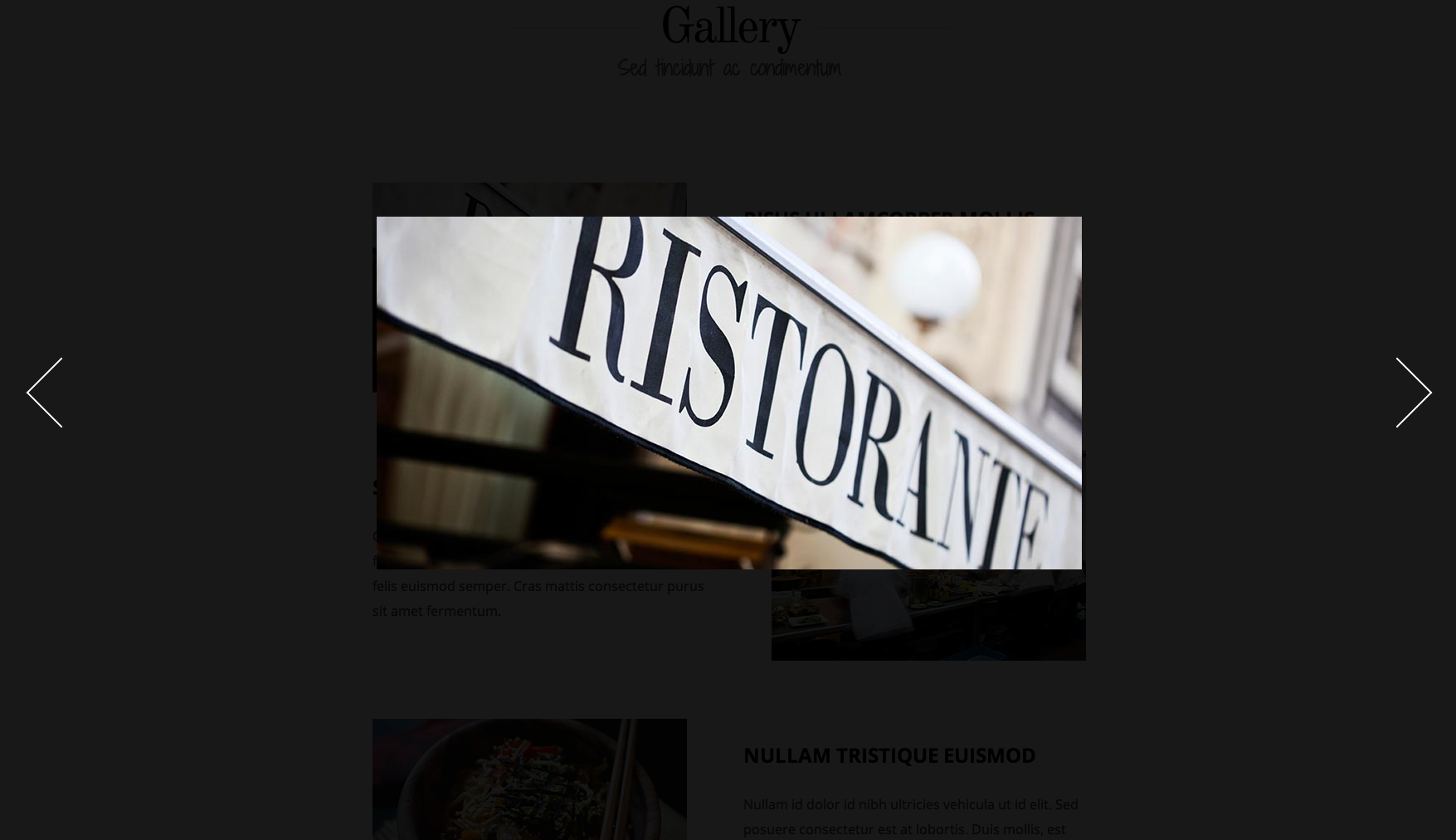 Gallery popup